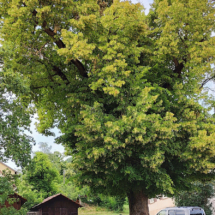 2023-06-27 SIngen_udL05r