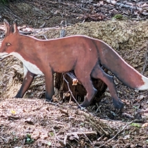 PXL_20250806_112554183