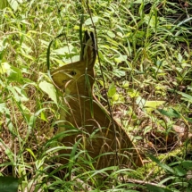 PXL_20250806_113207642