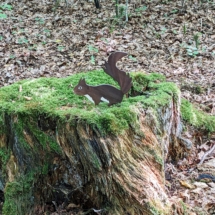 PXL_20250806_113311325