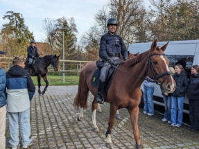 PXL_20251111_142713560_red PXL_20251111_142713560_red