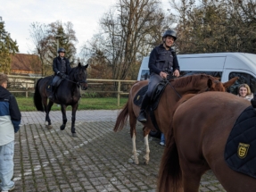 PXL_20251111_142715434_red PXL_20251111_142715434_red