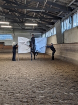 PXL_20251111_144630333_red PXL_20251111_144630333_red